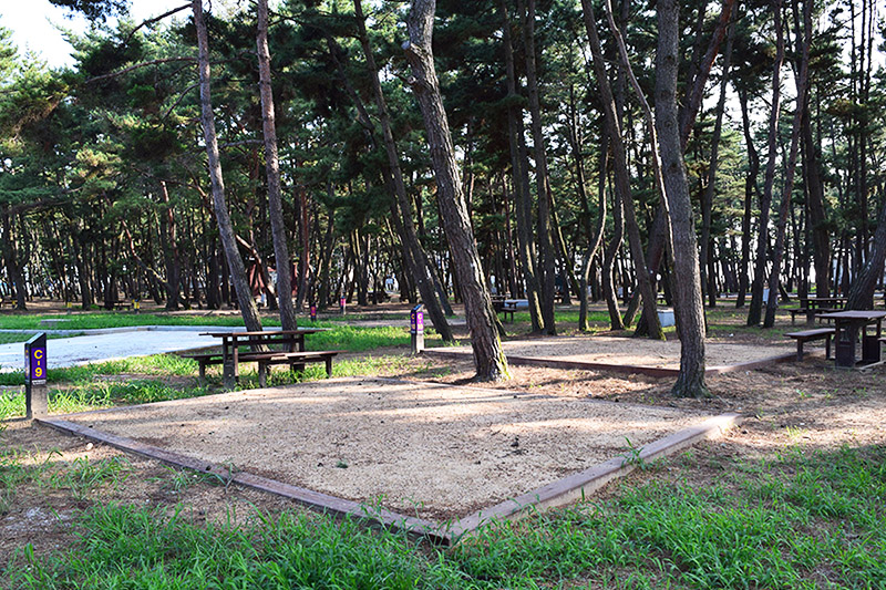 충청남도 태안군 몽산포 자동차야영장
