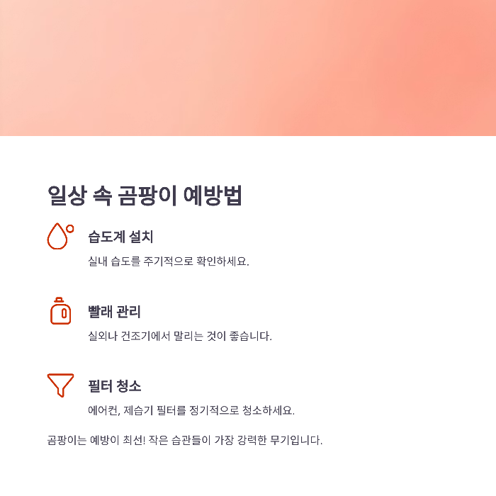 일상 속 곰팡이 예방법