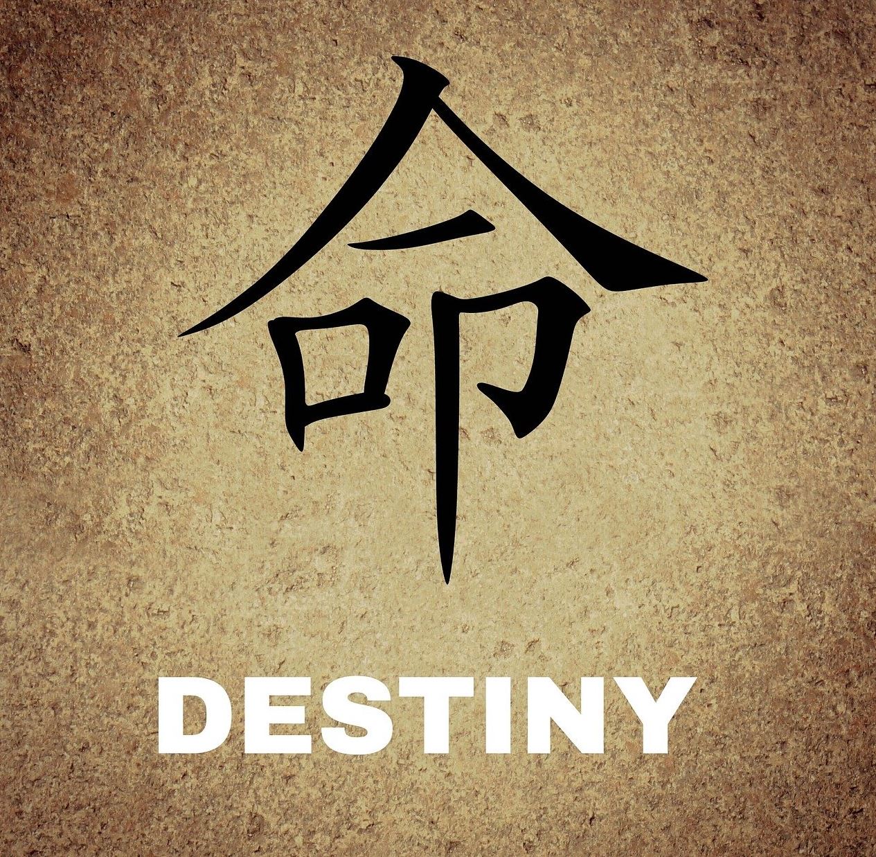 사주팔자의 현대적 재조명