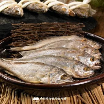 8월 제철 해산물과 7월 제철 해산물 종류 및 주의사항_20