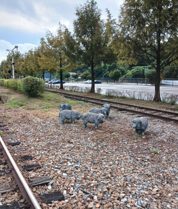 레일파크 선로 양들