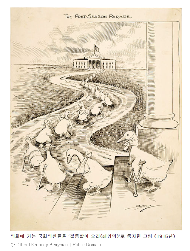 의회에 가는 국회의원들을 '절름발이 오리(레임덕)'로 풍자한 그림 (1915년) <출처:다음백과>