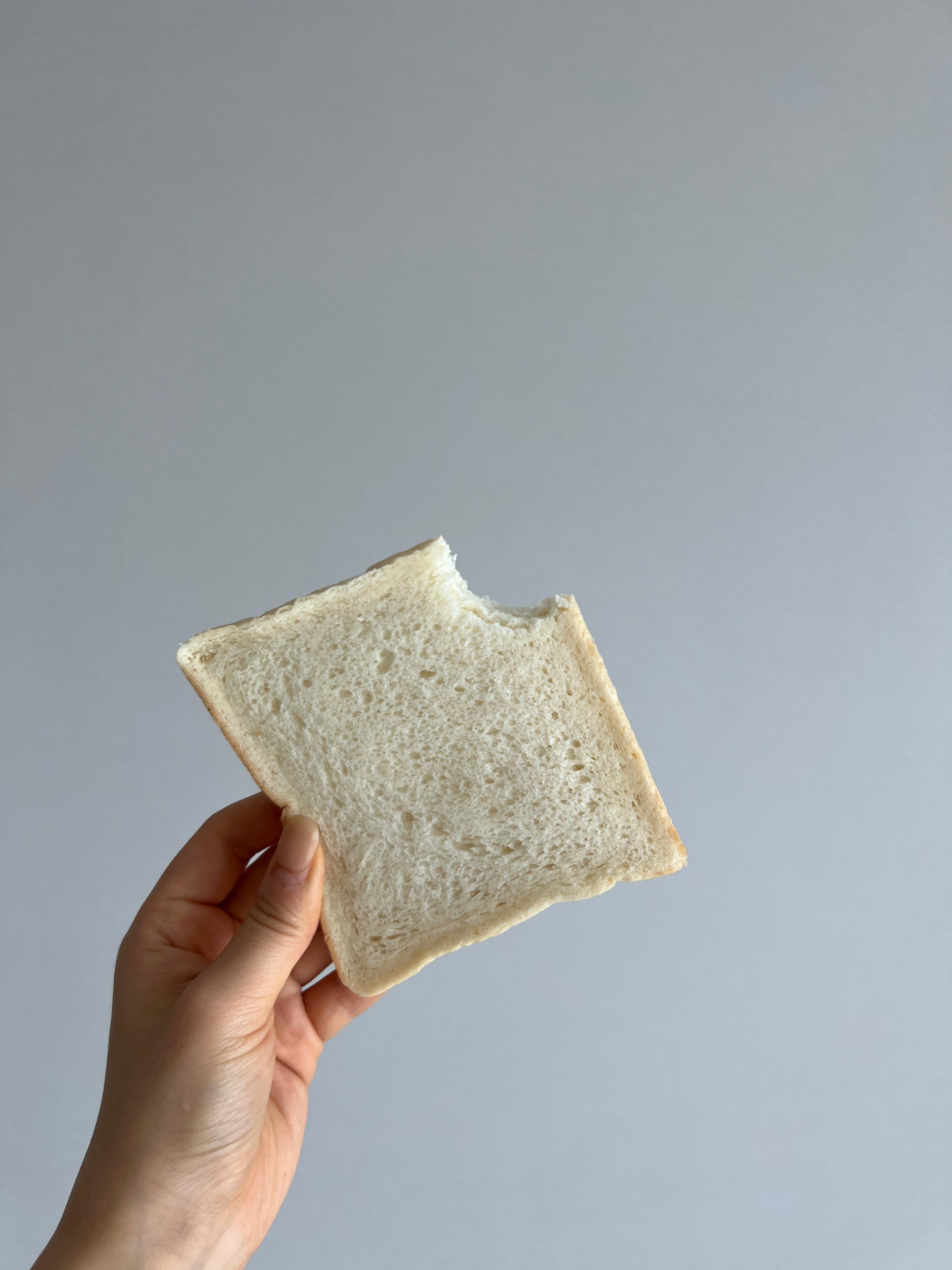 식빵계 에르메스 화이트리에