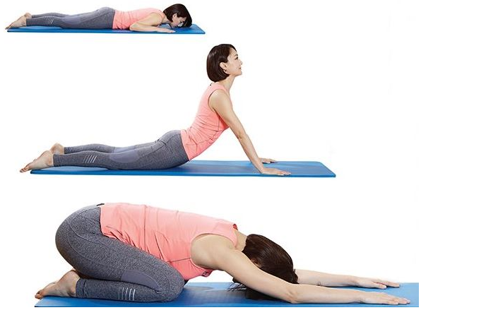 코어 근육 강화 운동, 허리 안정, 균형 감각 향상