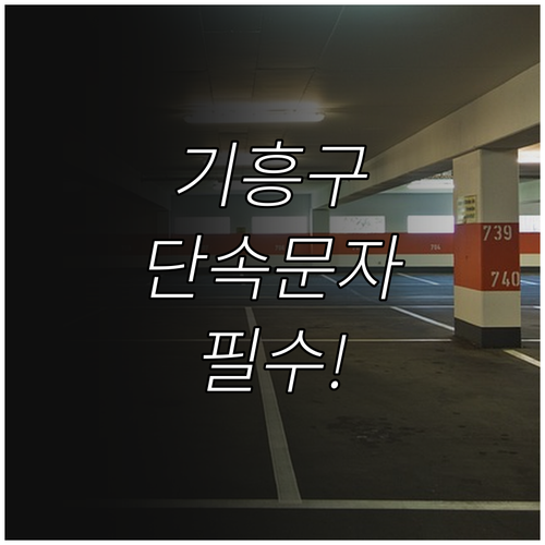 용인 기흥구 주정차 단속 문자 알림 ..