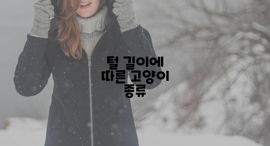 털 길이에 따른 고양이 종류