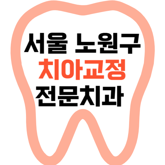 서울 노원구 치아교정 치과 잘하는 곳 전문 치과 추천.png