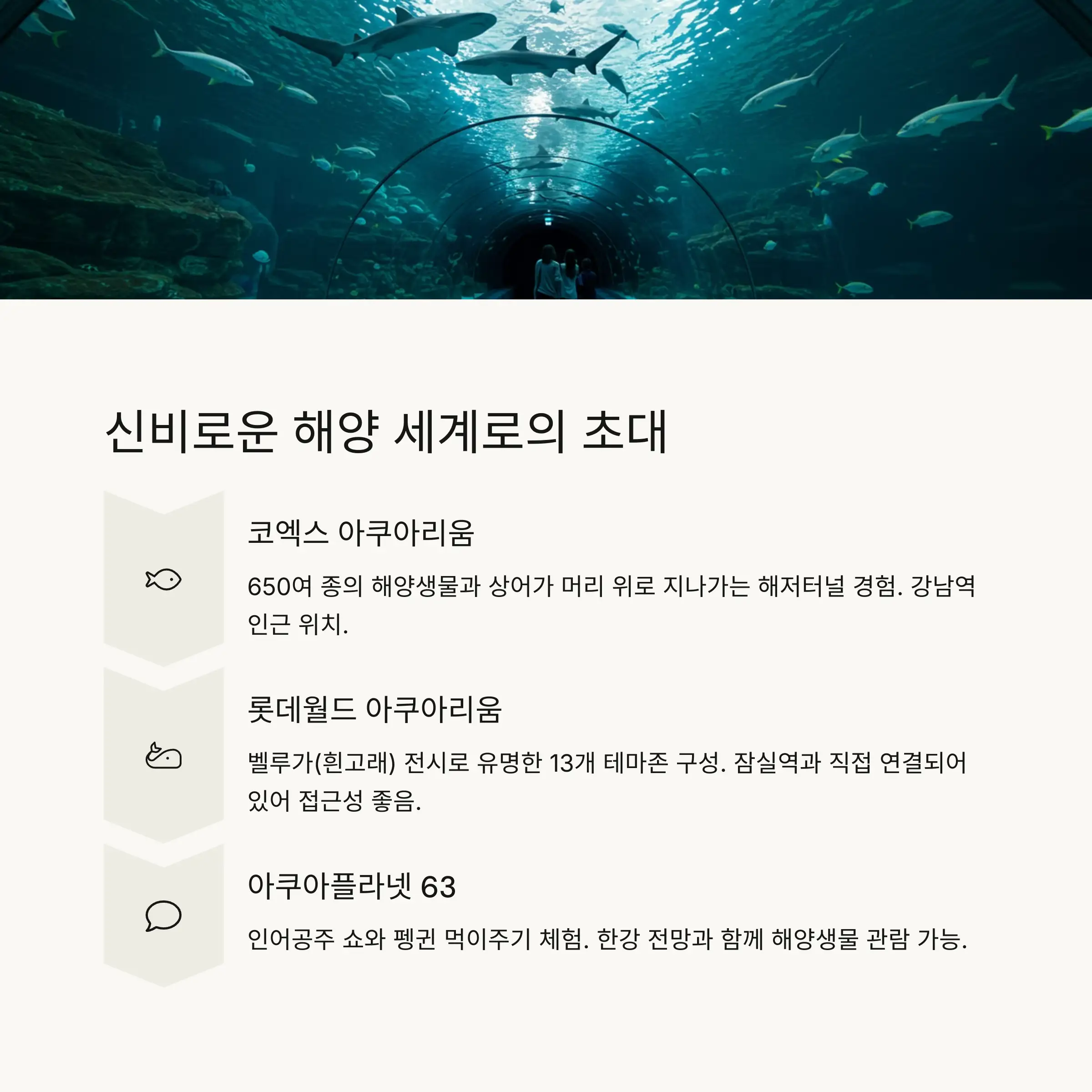 🐠 아쿠아리움 &amp; 수족관