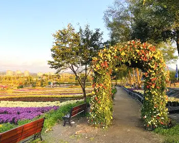 연천 국화축제_6