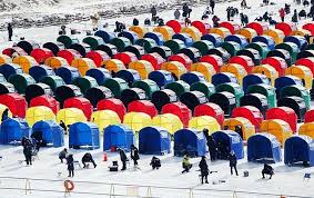  평창 송어 축제 2025 기간&amp;#44; 입장료&amp;#44; 텐트 낚시 예약에서 텐트가 줄지어있는 모습