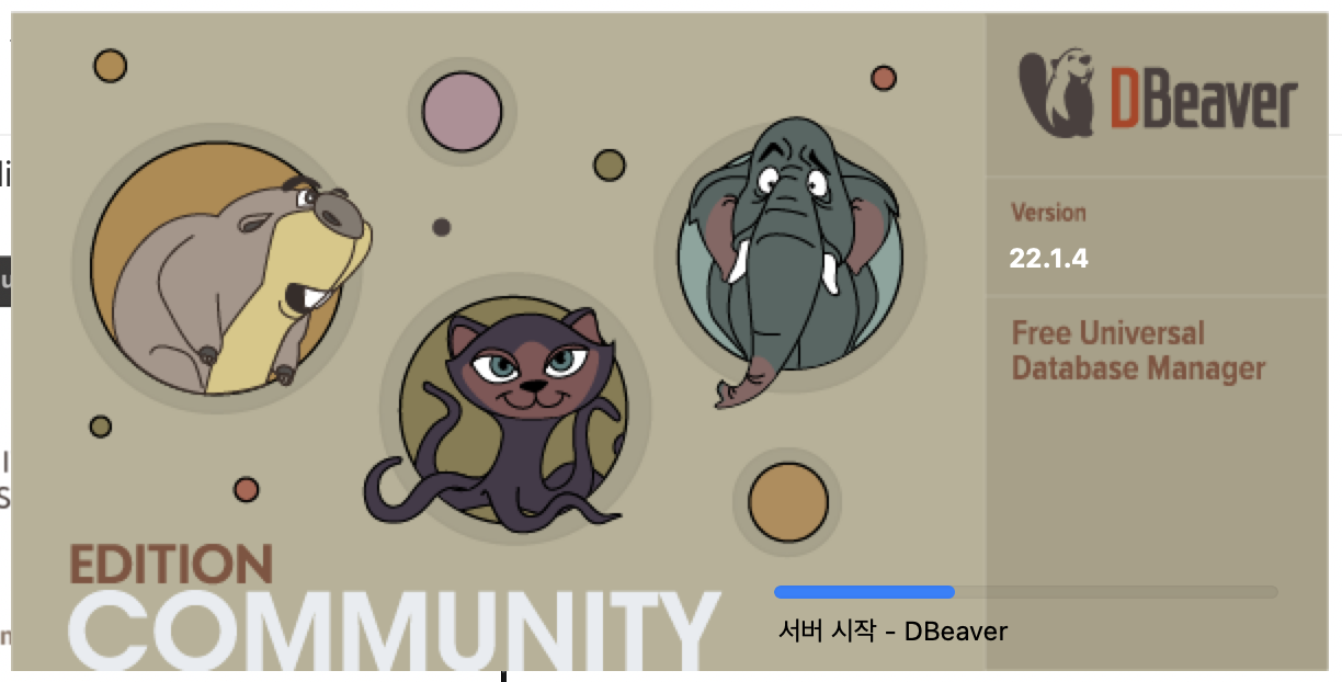 DBeaver 실행