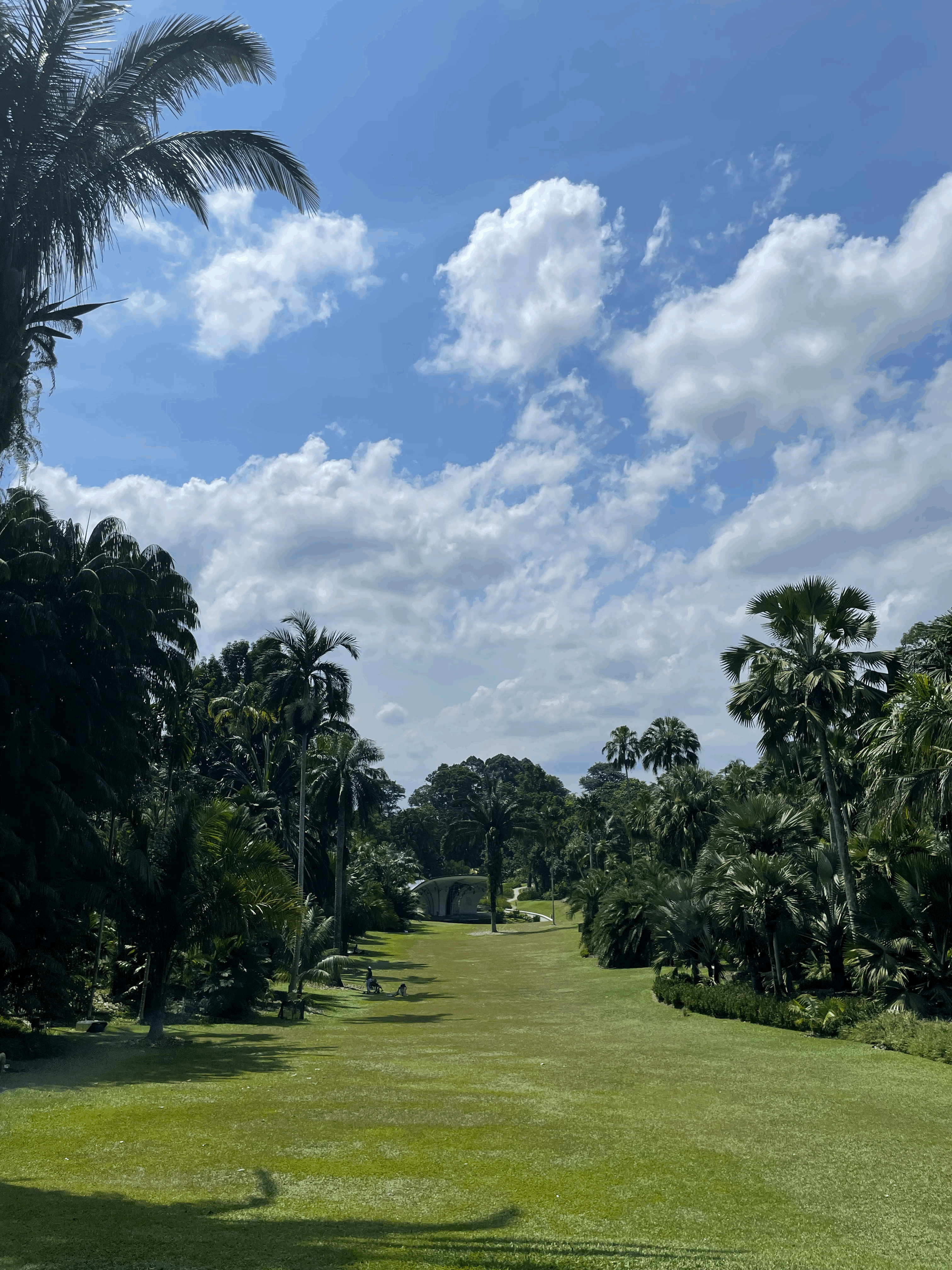 Singapore Botanic Gardens 넓은 잔디밭과 화창한 날씨