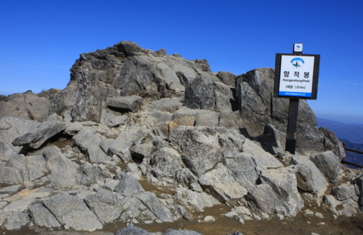 SNS 전국 인기 관광지 추천 요기어때