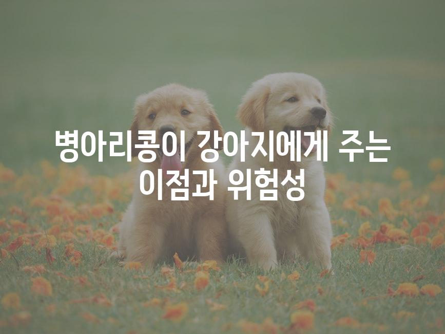 병아리콩이 강아지에게 주는 이점과 위험성