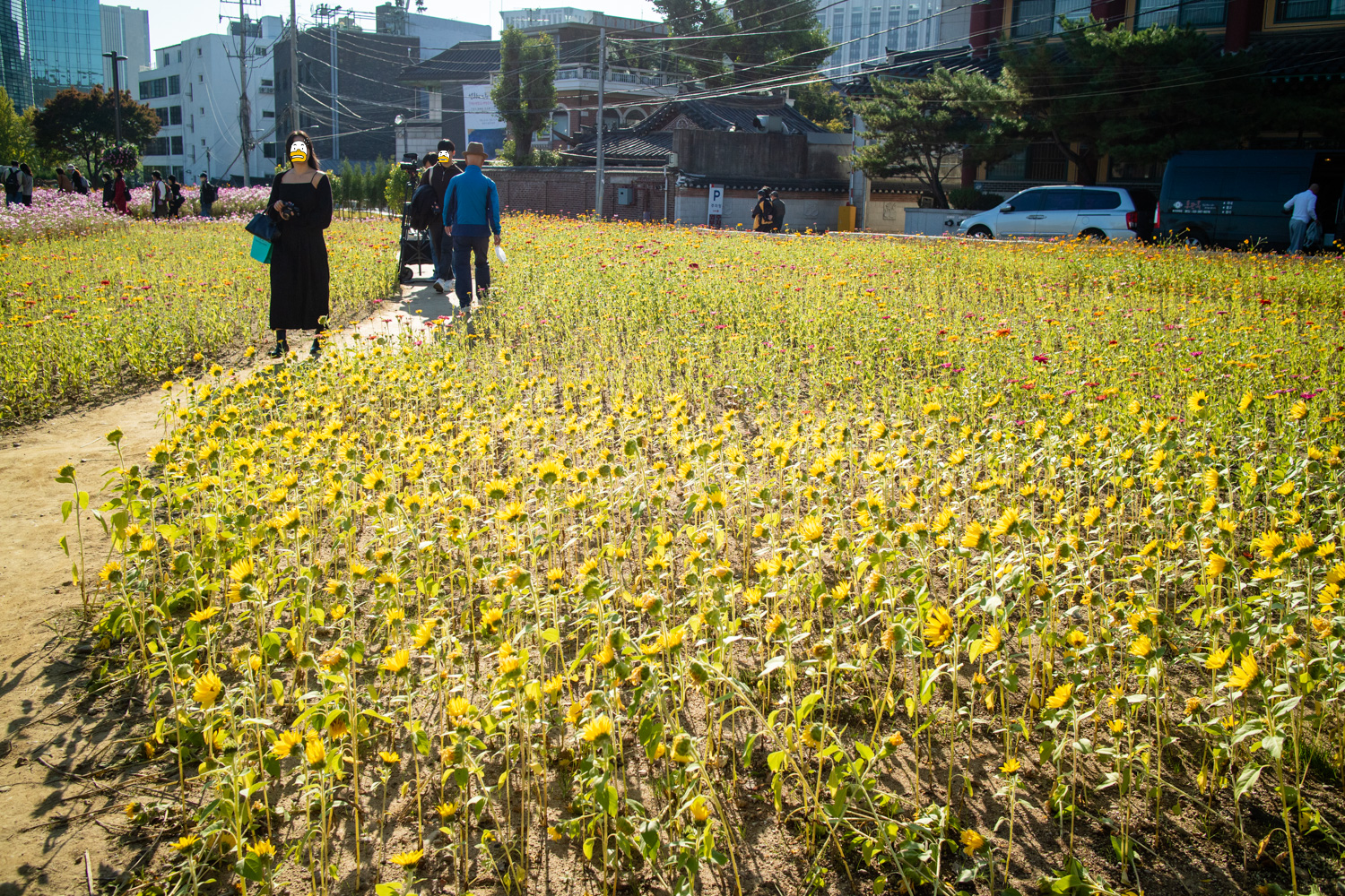 인사동 뒤 거대한 공터 송현공원 관람기