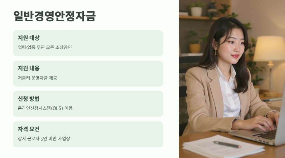 소상공인 특별지원금 2025 2