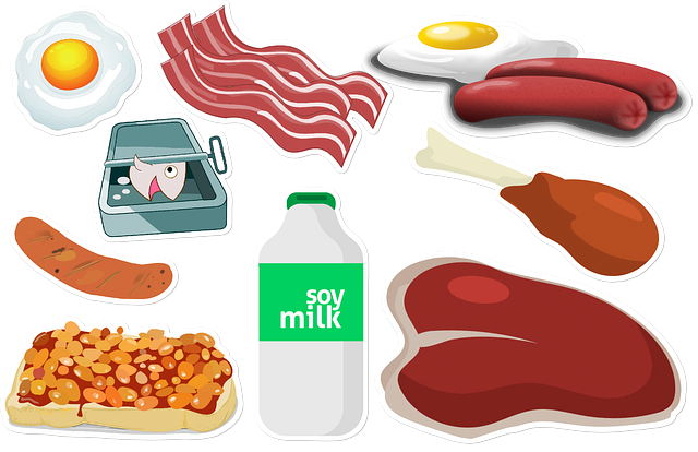 스위치온 다이어트