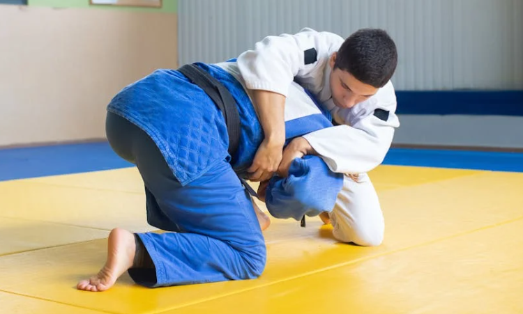 유도 관련 사진