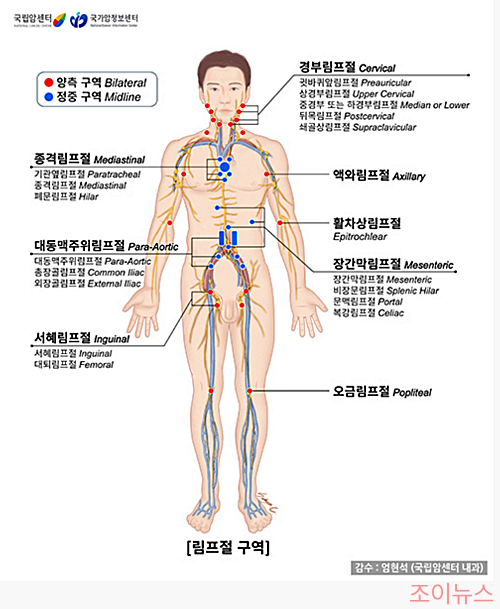 림프절의 위치