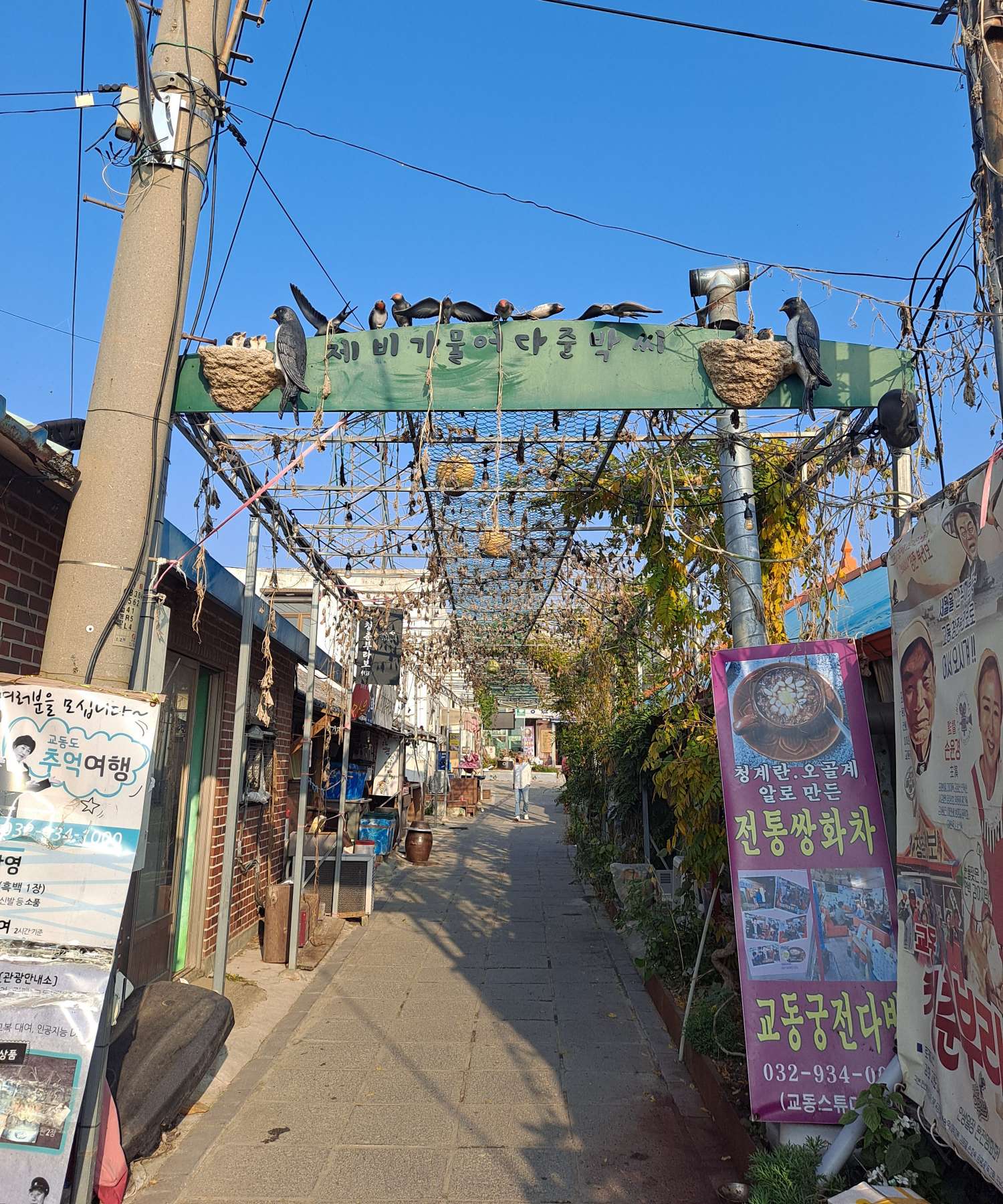 제비가 물어다준 박씨