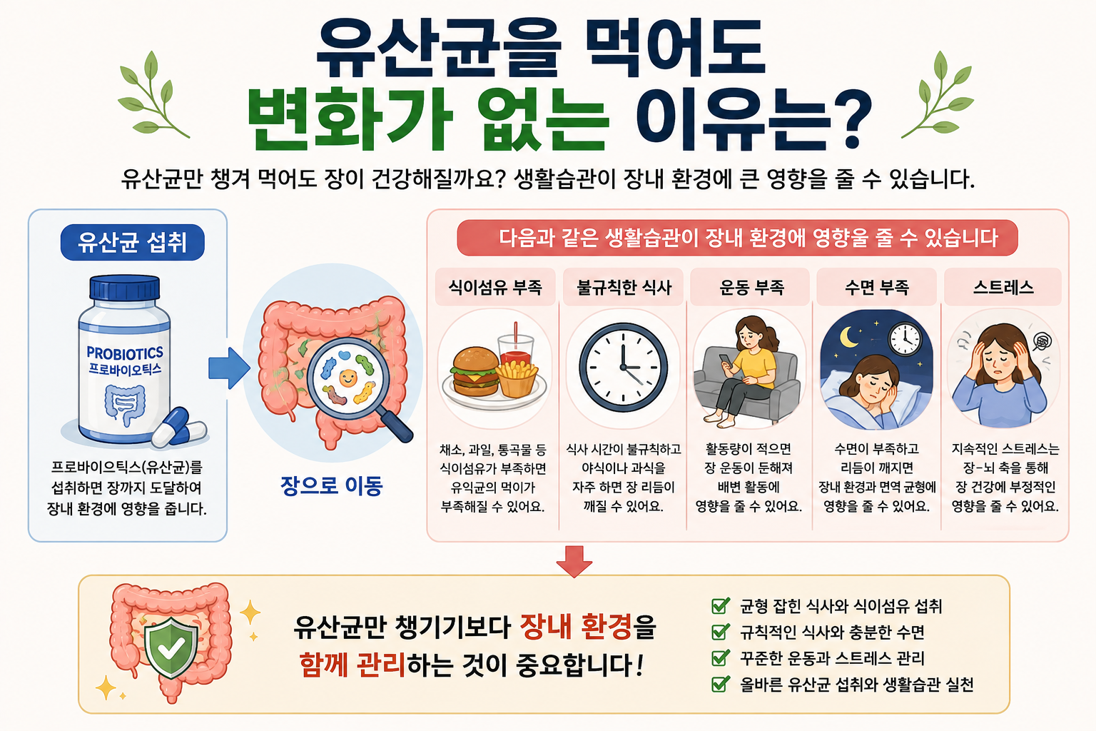 프로바이오틱스 사용과 생활 항목을 비교하는 설명 그림