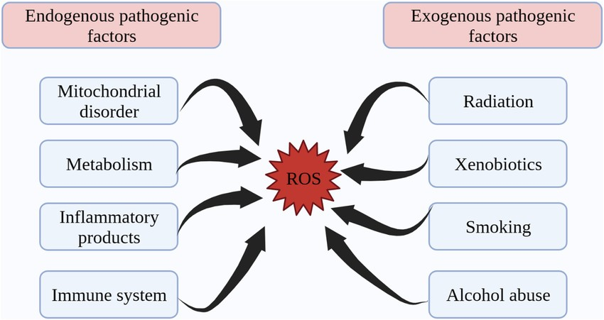 [V01-Y98] ⅩⅩ.질병이환 및 사망의 외인(V01-Y98)