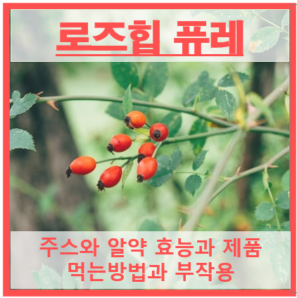 로즈힙 퓨레 썸네일