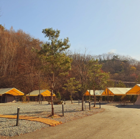 오캄캠핑