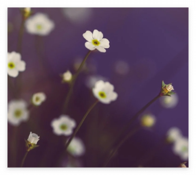 주민등록등본 인터넷발급(정부24)