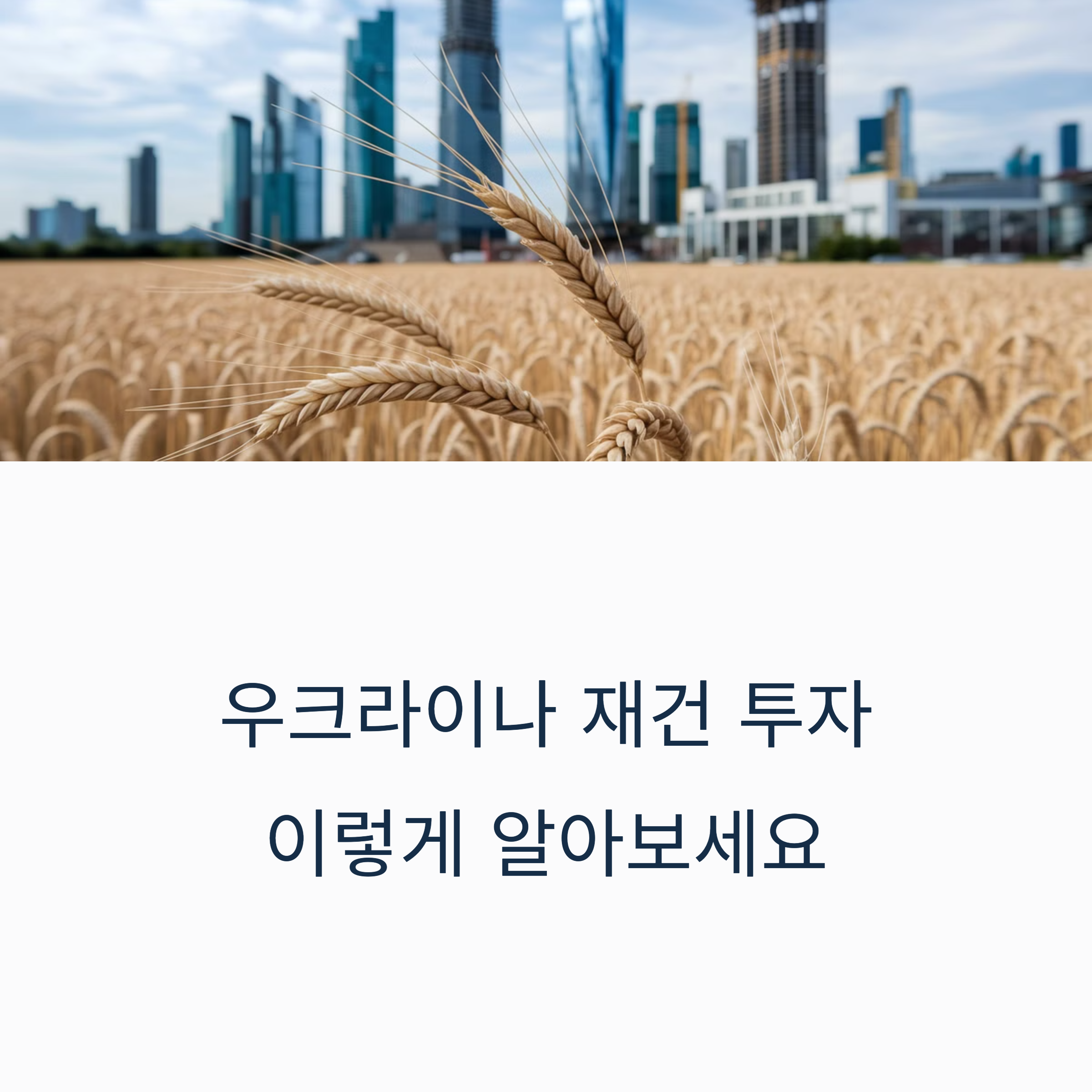 우크라이나 재건 관련주