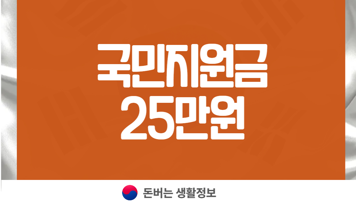 국민지원금 25만원