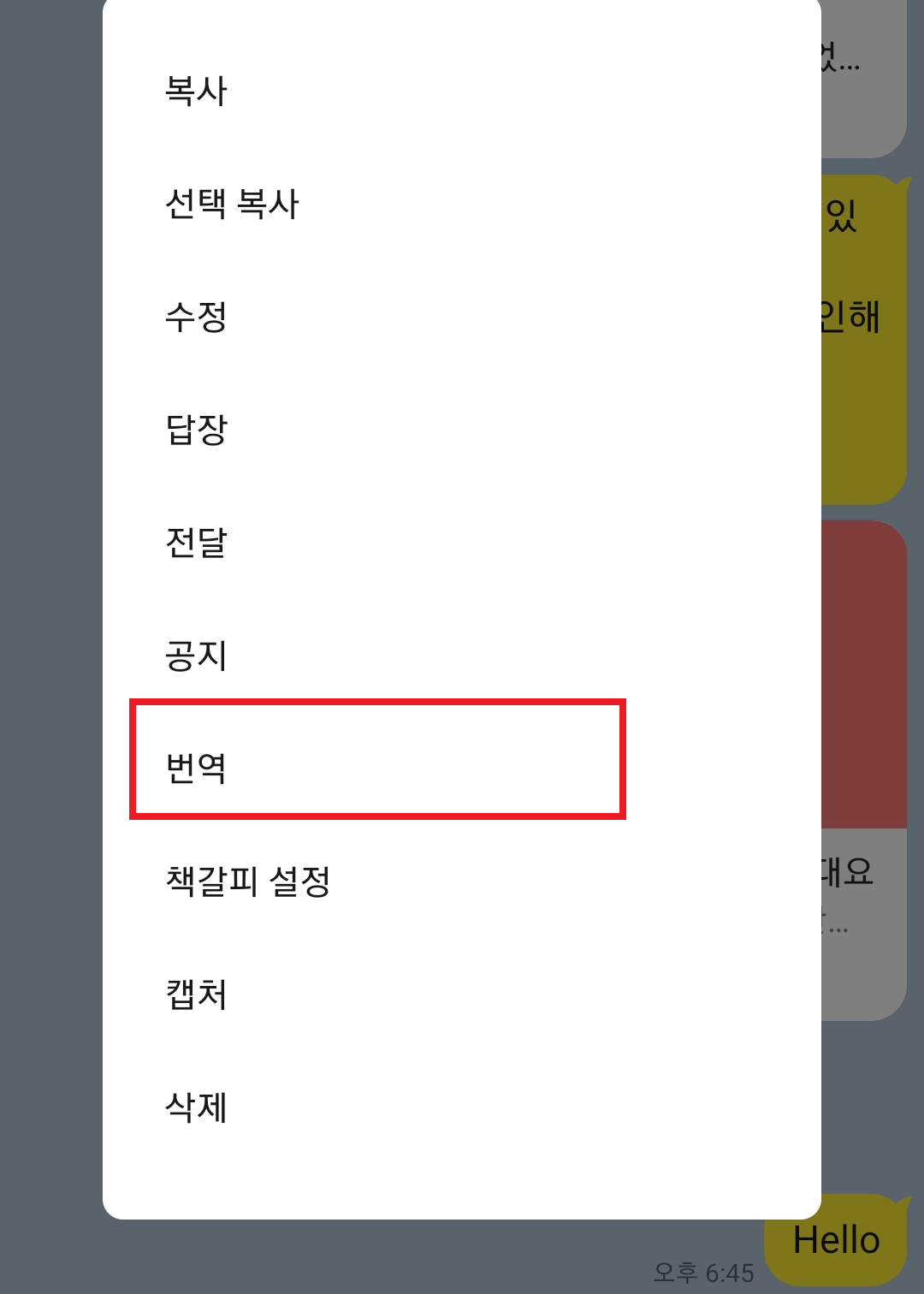 카카오톡 번역 방법