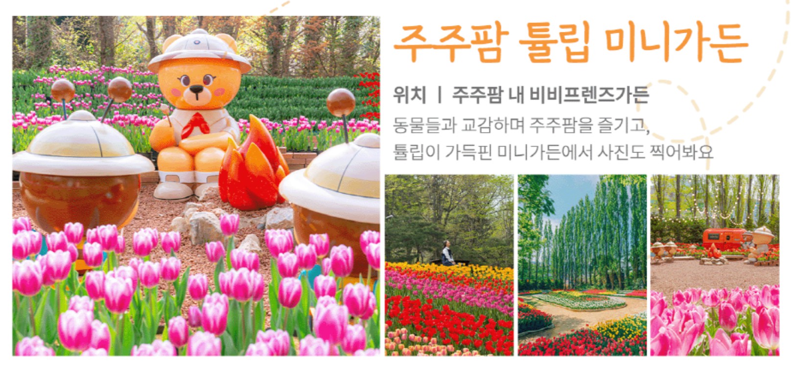 이월드 튤립 트래블