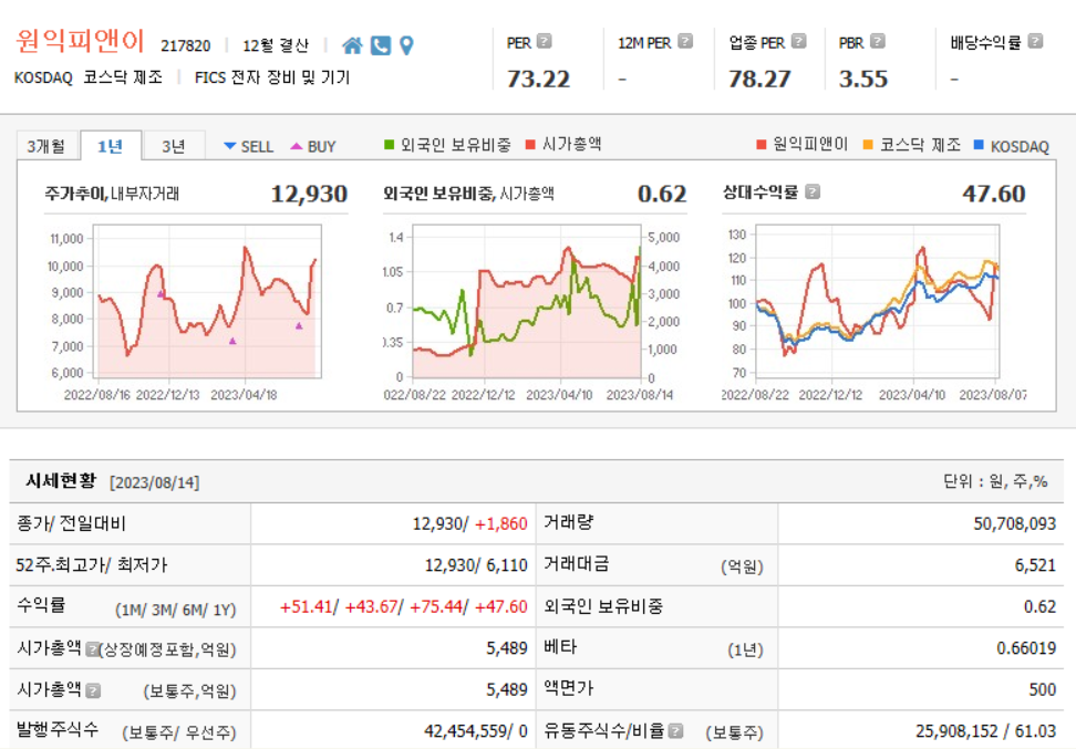 원익피앤이 기업현황