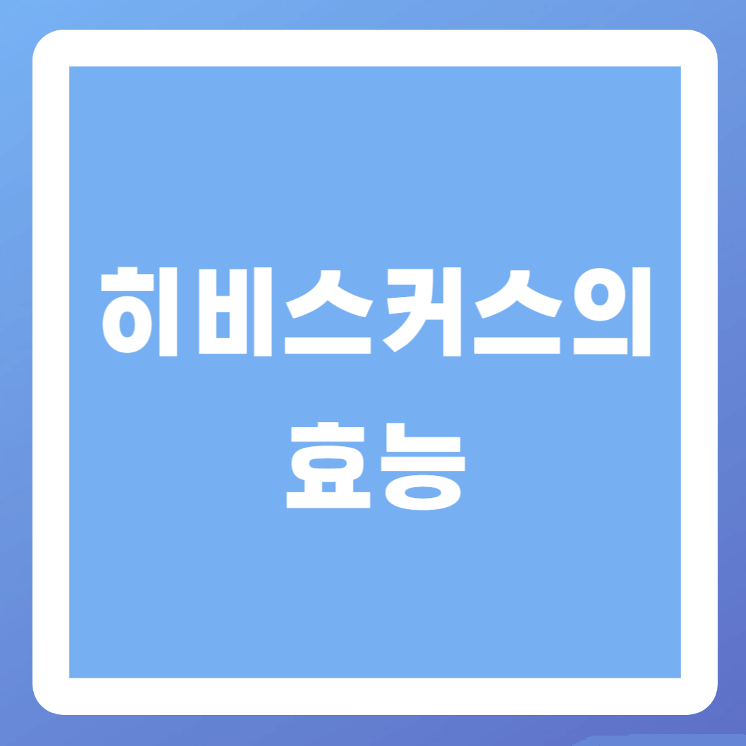 히비스커스의-효능