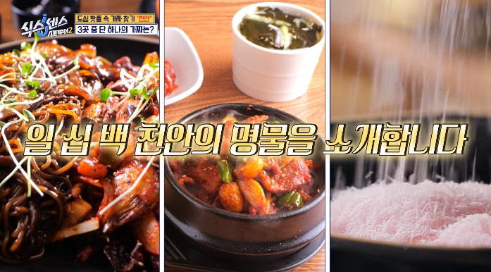 식스센스시티투어2-천안-가짜