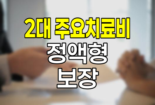2대 주요치료비 정액형 보장 특징과 활용법