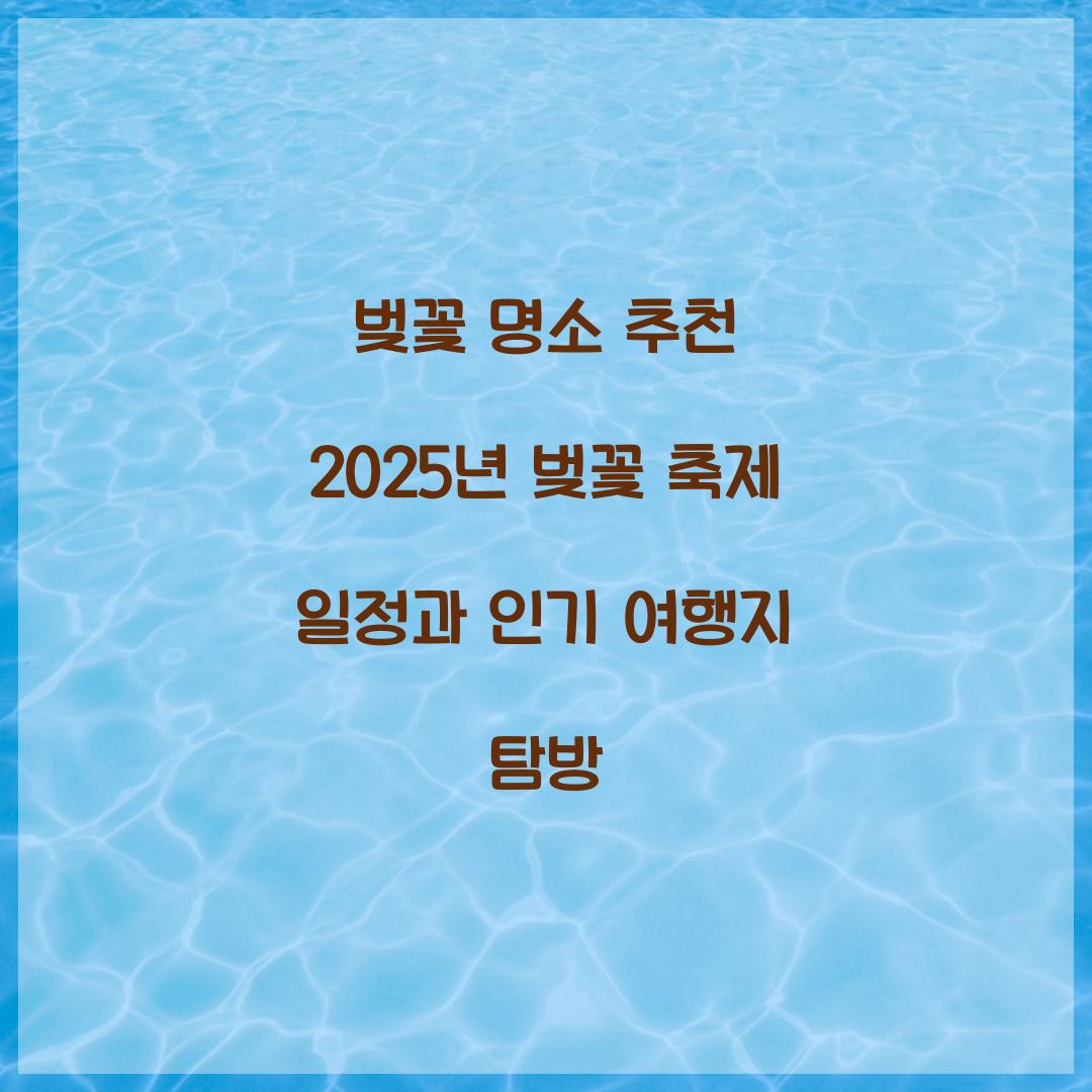 벚꽃 명소 추천