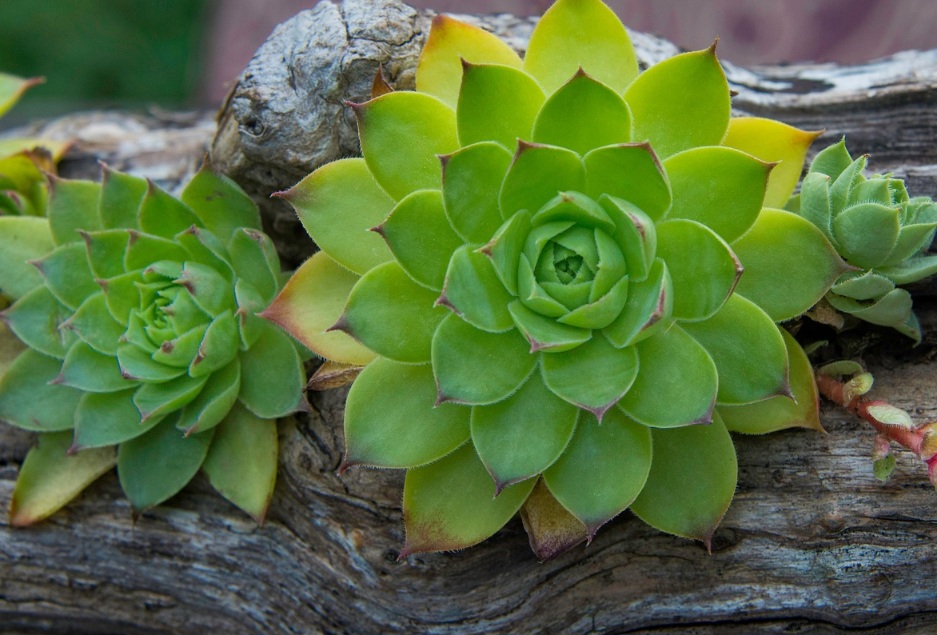 생활환경 위생노트