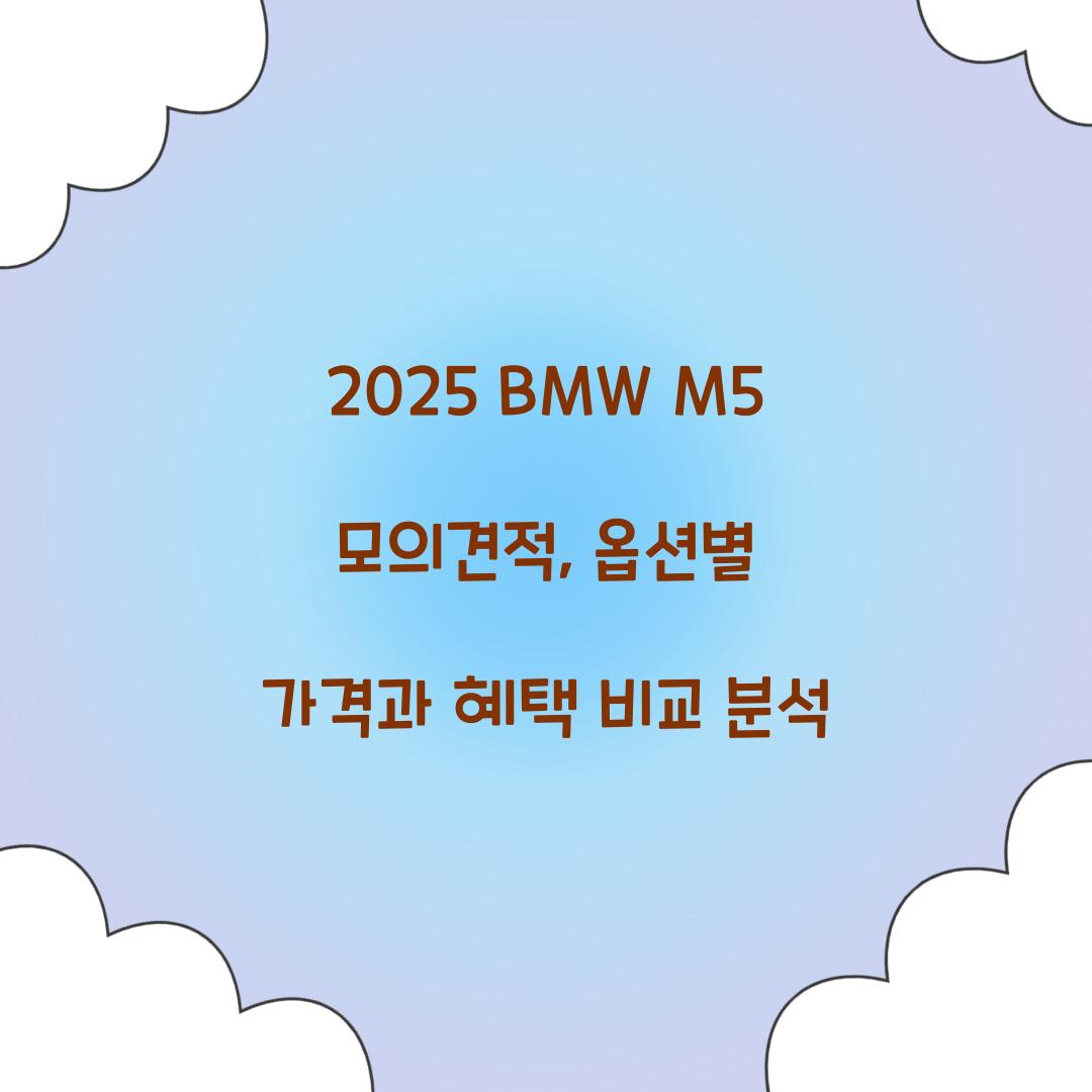 2025 BMW M5 모의견적