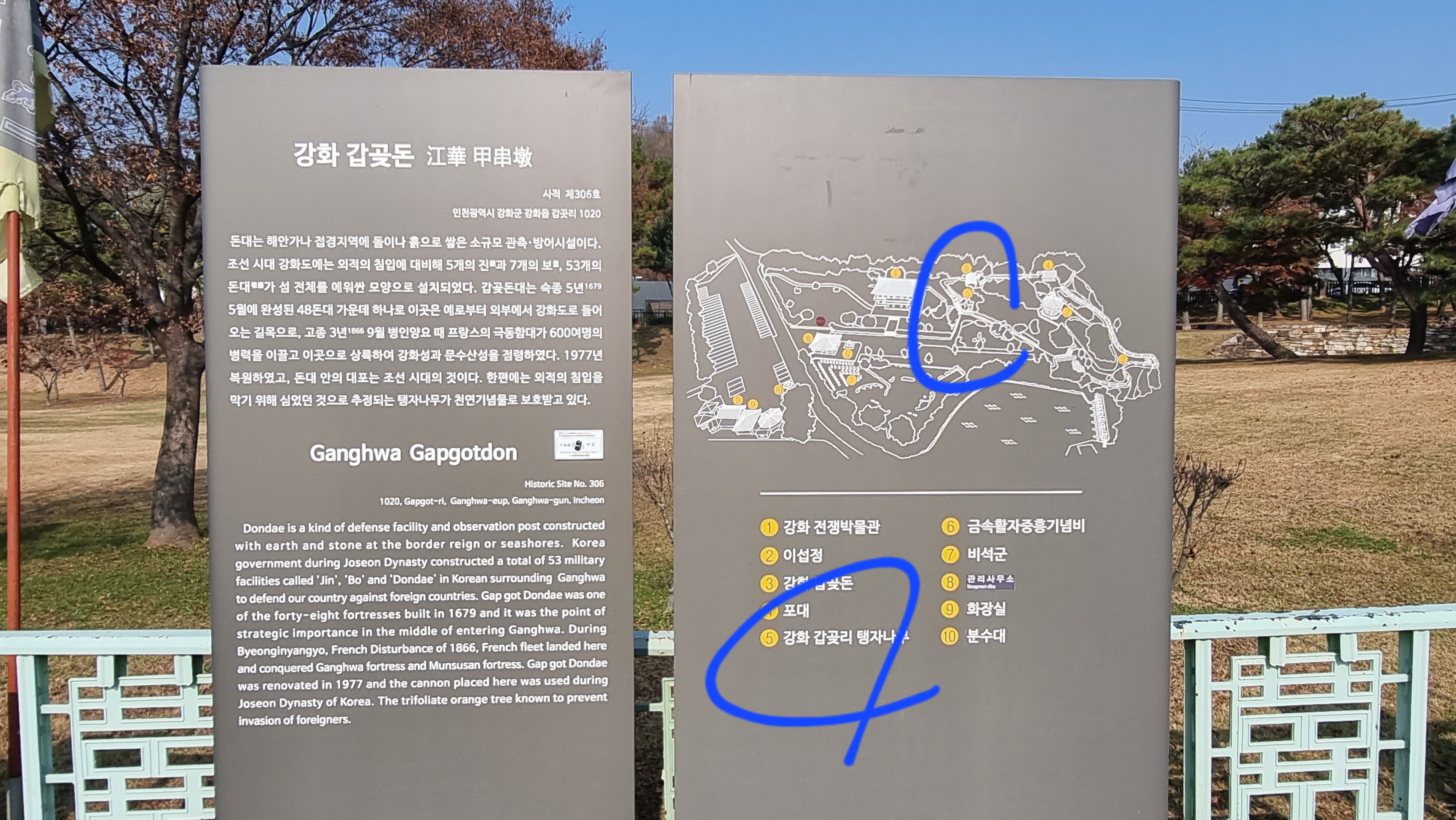 강화도 여행, 천연기념물, 문화재 탐방, 갑곶돈대, 강화 탱자나무