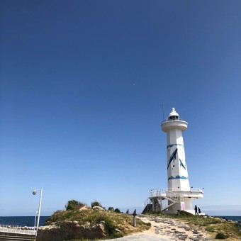 울산의 콘텐츠