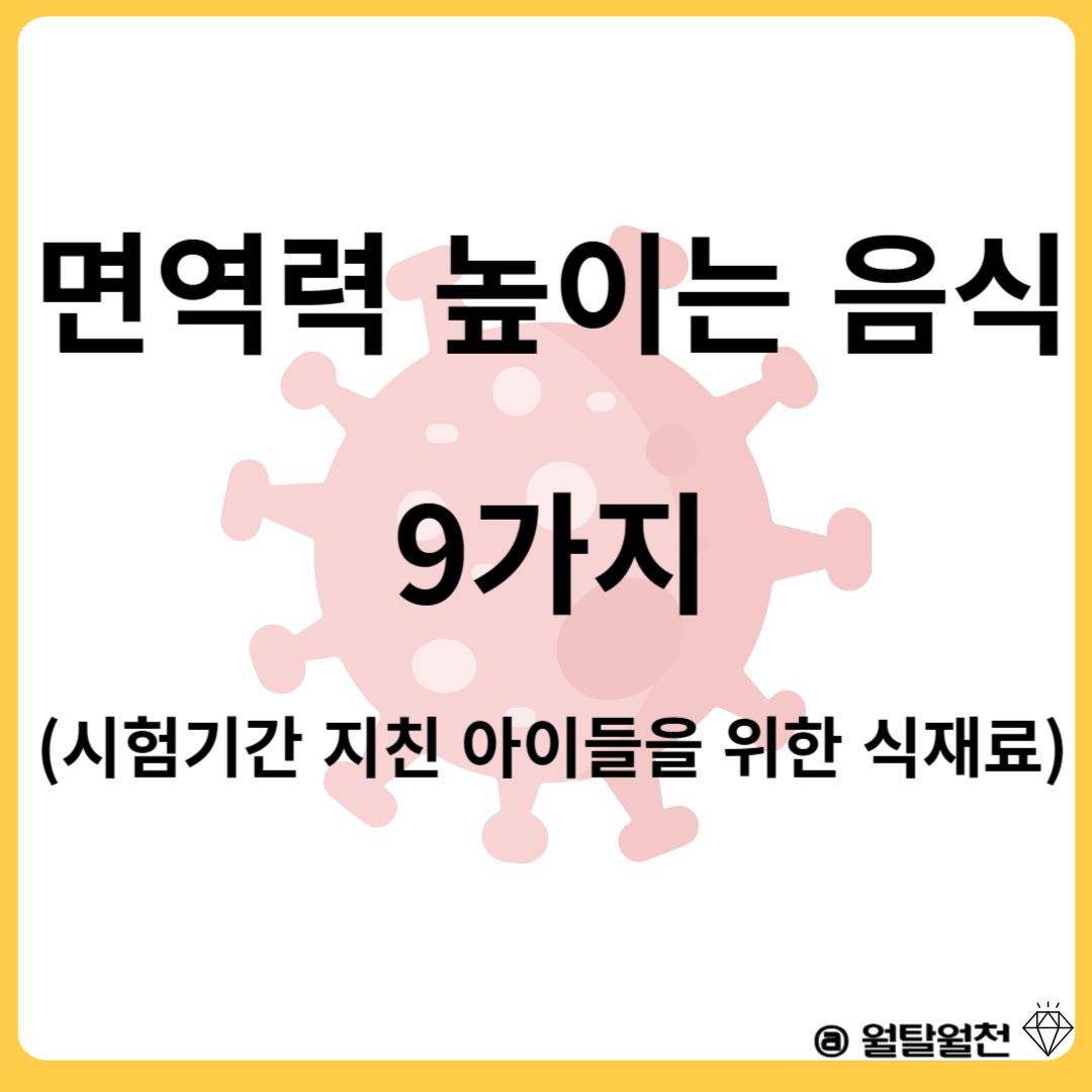면역력 높이는 음식 9가지(시험기간 지친 아이들을 위한 식재료)
