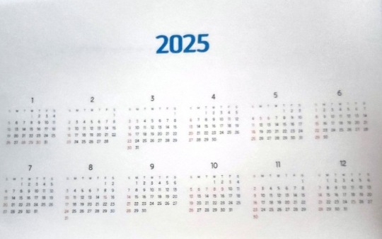2025년 전체 달력