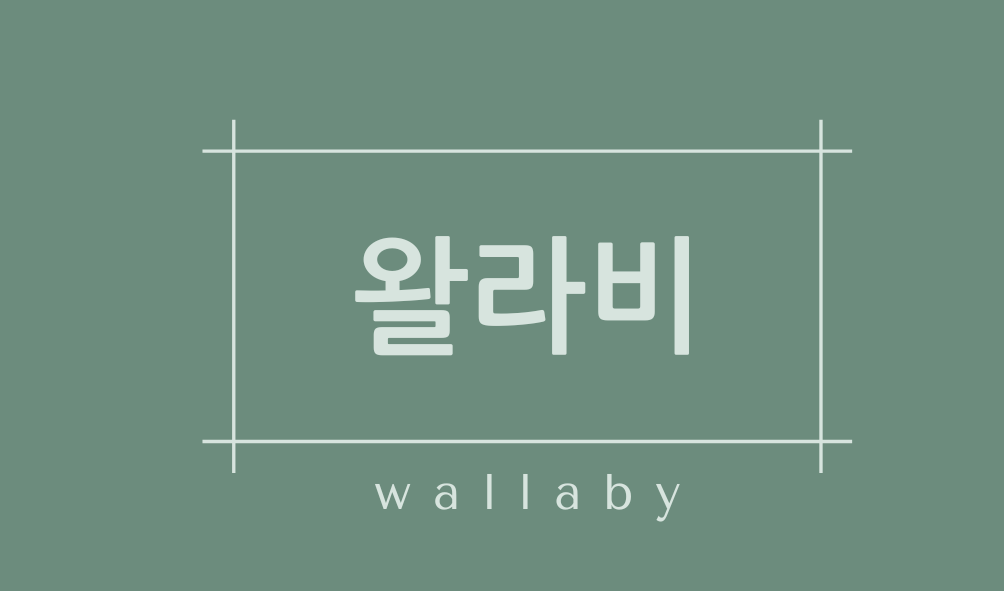 왈라비(wallaby)