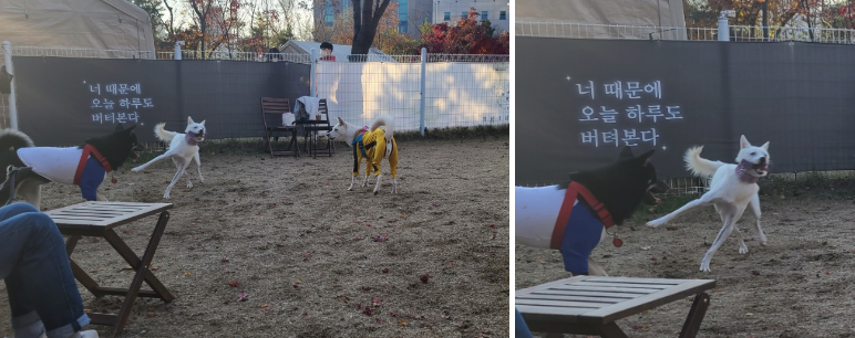 ๊ฐ๋ฆฐ์ด๋ค