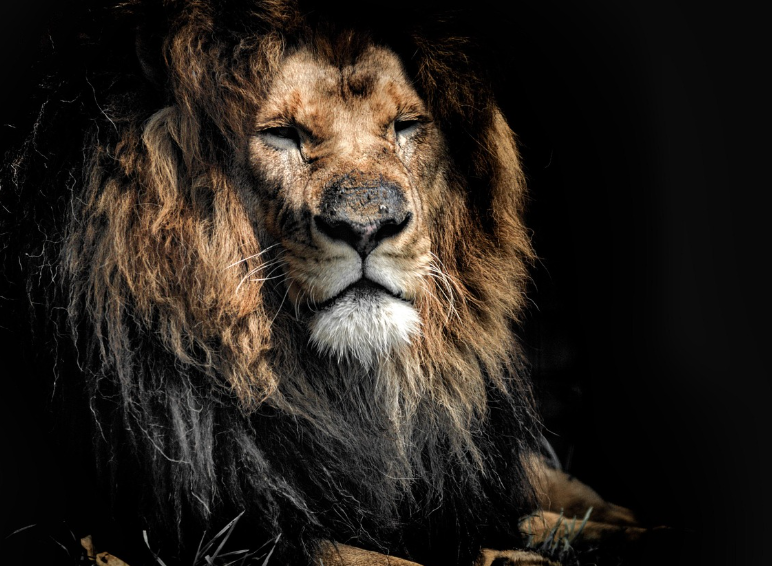 잠이 예전 같지 않은 이유, 노화 신호일까 스트레스일까