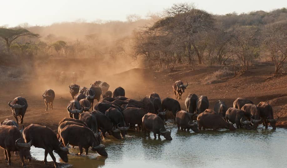 동물과 생물여행