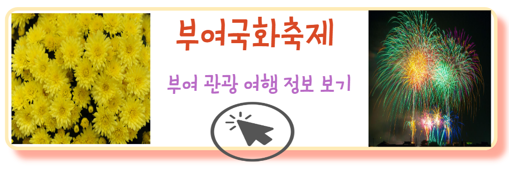 부여국화축제여행정보
