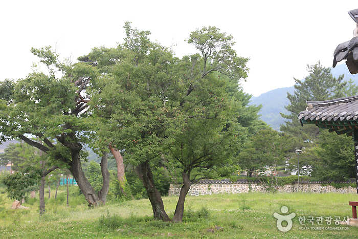 산청 가볼만한곳 베스트10